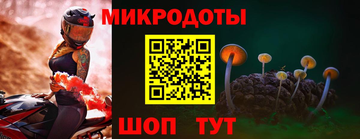 Галлюциногенные грибы Psilocybe  Псилоцибиновые грибы прущие грибы  Вход с VPN  Тихорецк 